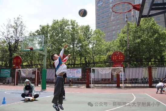 篮球训练营中试训的表现评估方法_1